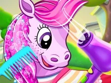 Pony Pet Salon